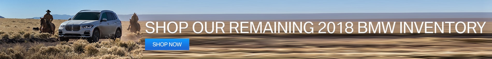 Homepage-2018-Inventory-Skinny-Banner.jpg
