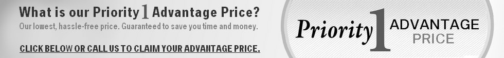 Priority1BannerGray