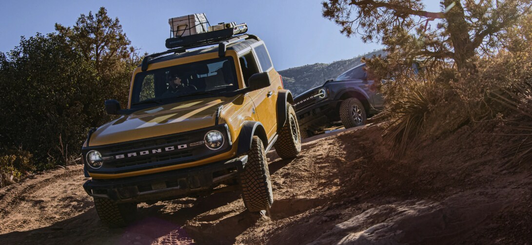 BRONCO WILD-1091x446.webp