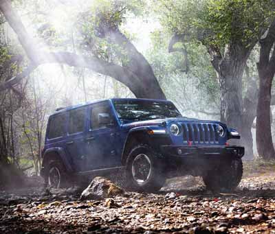 Gallery-Capability-Blue-Forest-Sunlight-Desktop.jpg.image.400.jpg