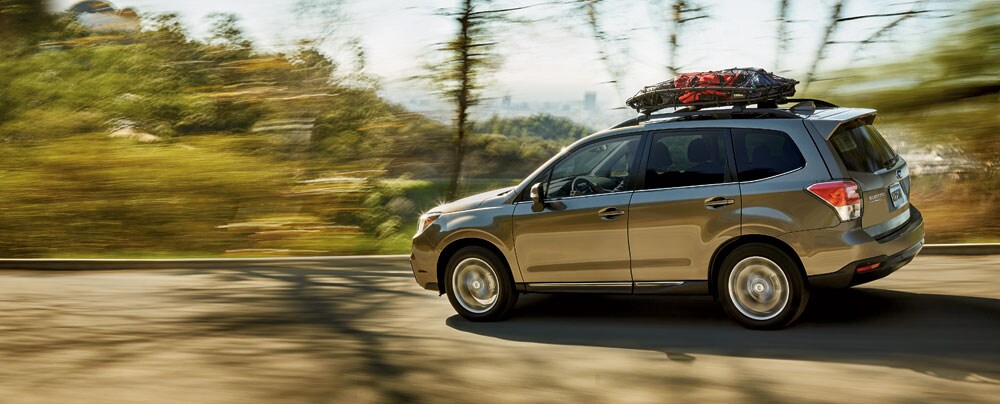 17-Forester-a1.jpg