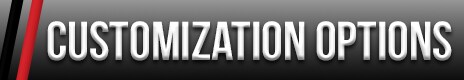 customization options banner.png