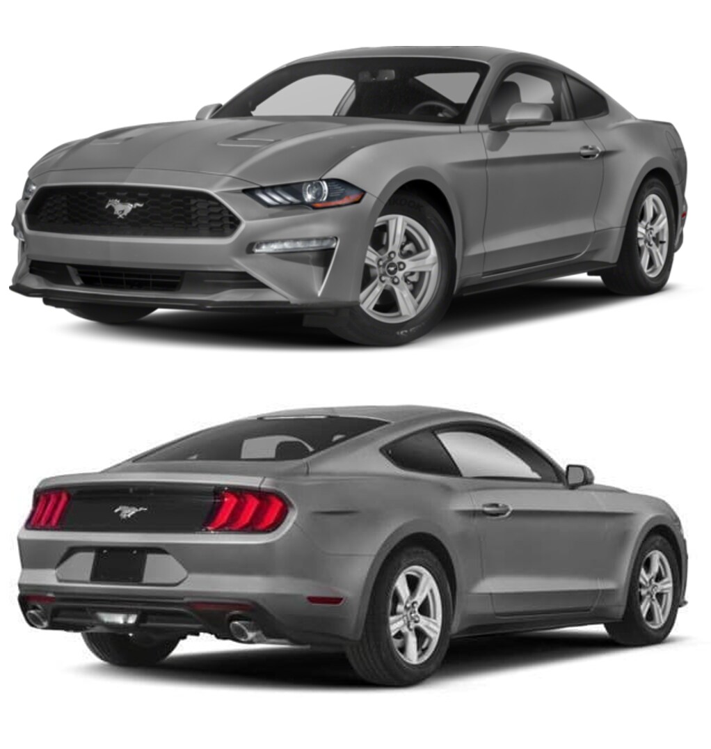MustangMontage.png