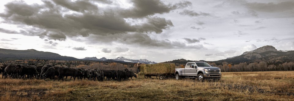 F350Header.jpg