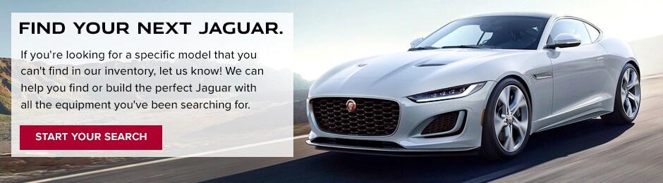 Jaguar-LookingBanner.jpg