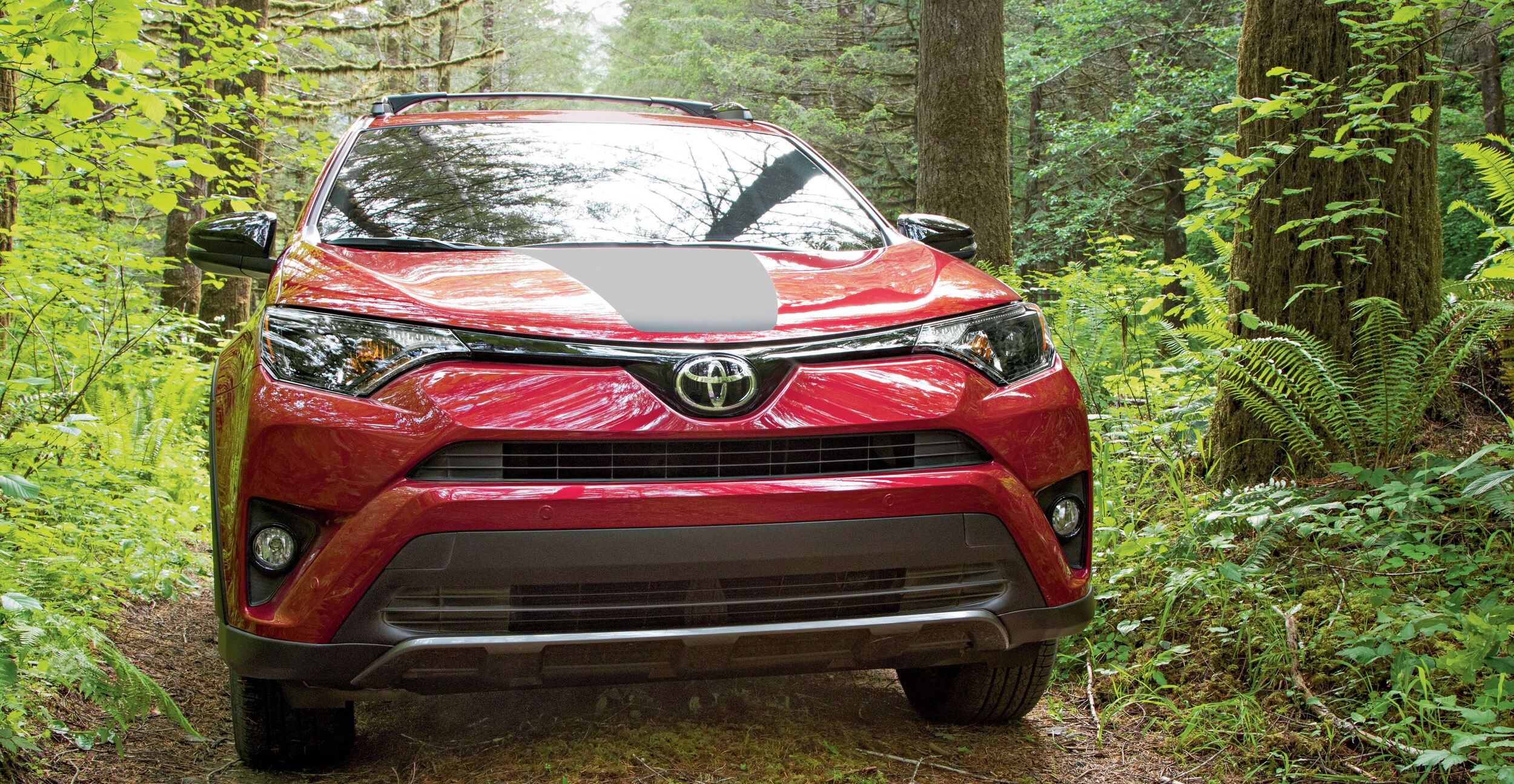 Red RAV4 Adventure in the woods
