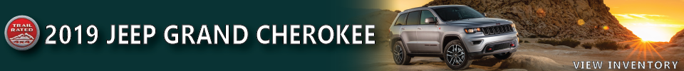 Skinny Banner.png