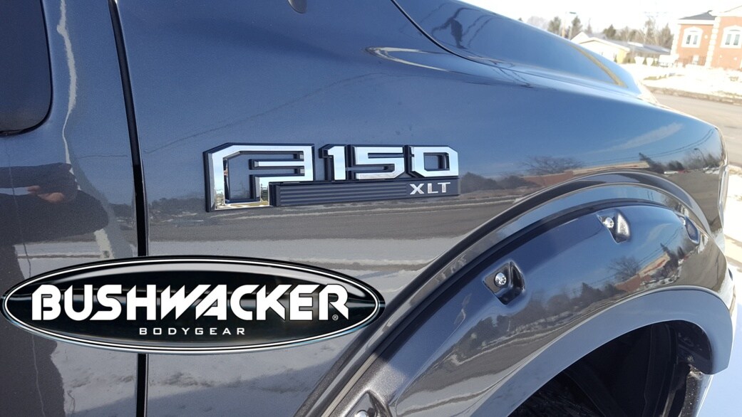Lifted 2018 F150
HJ0040T10.jpg