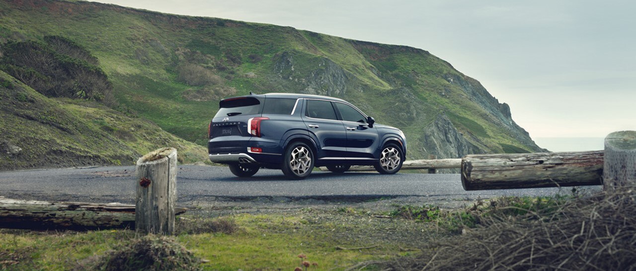 Hyundai Palisade SUV.jpg