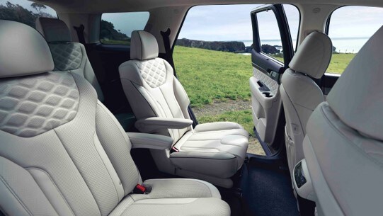 hyundai palisade inside back.jpg