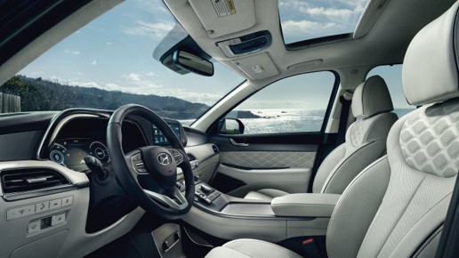 Hyundai Palisade inside front.jpg