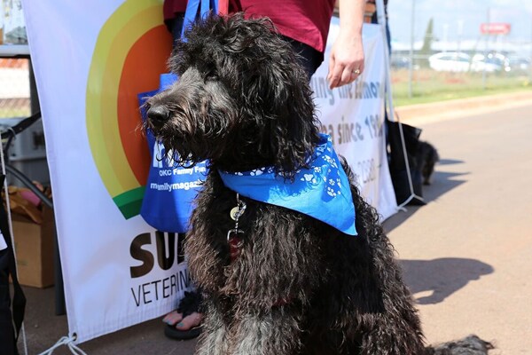 subaru-dogapalooza-2016-4.jpg