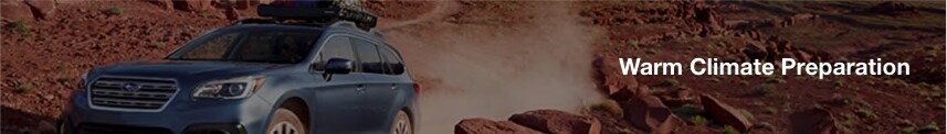 Subaru-Warm-Climate-Prep.png
