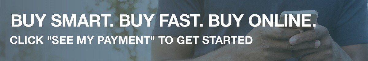 BuyNow-Banner-v2 rsz.jpg
