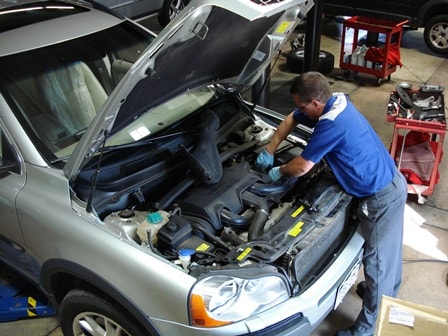 Technician at work.jpg