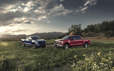Ford Dealer Decatur IL New + Used Vehicle Specials.png