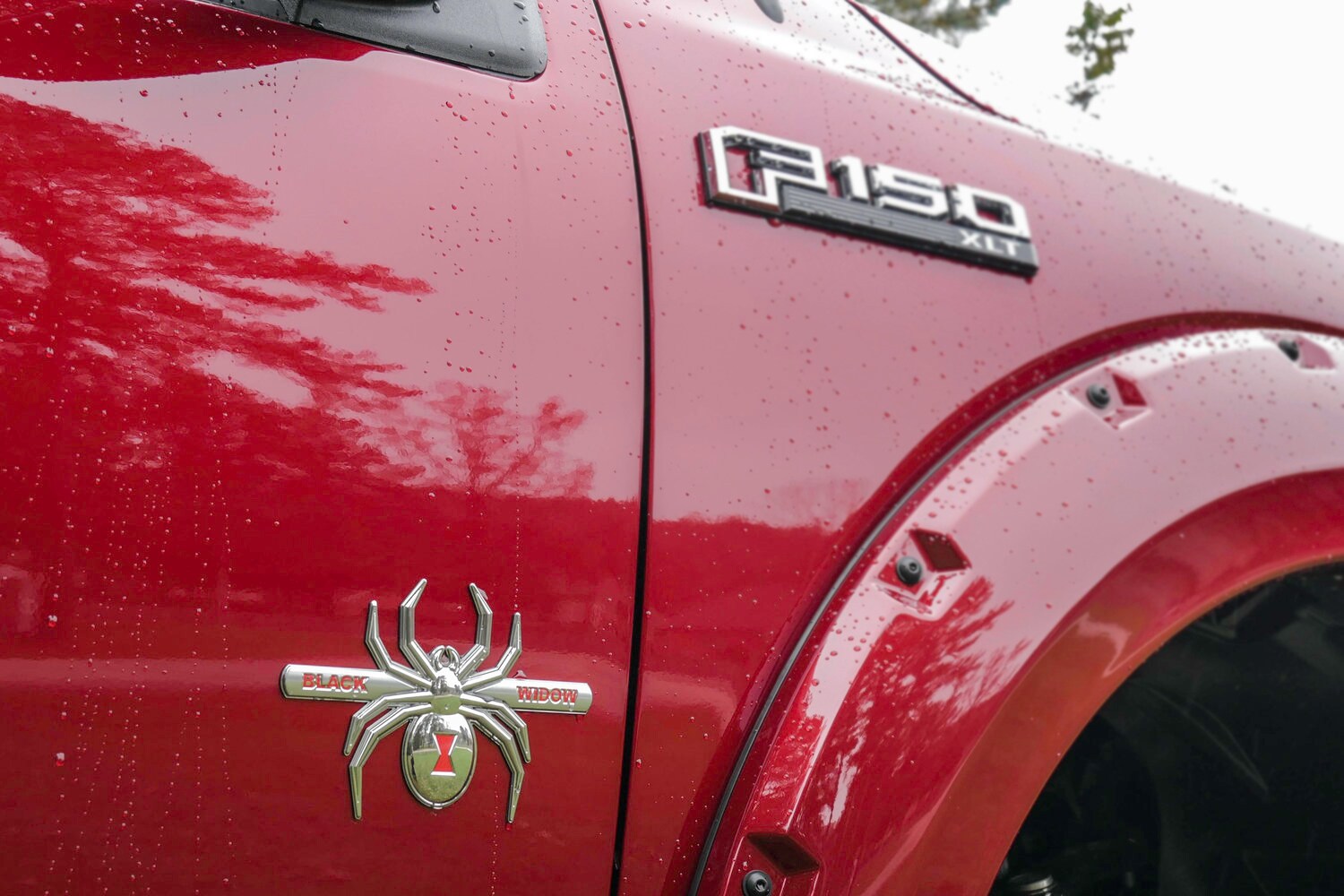 Ford F150 BW Badging.jpg