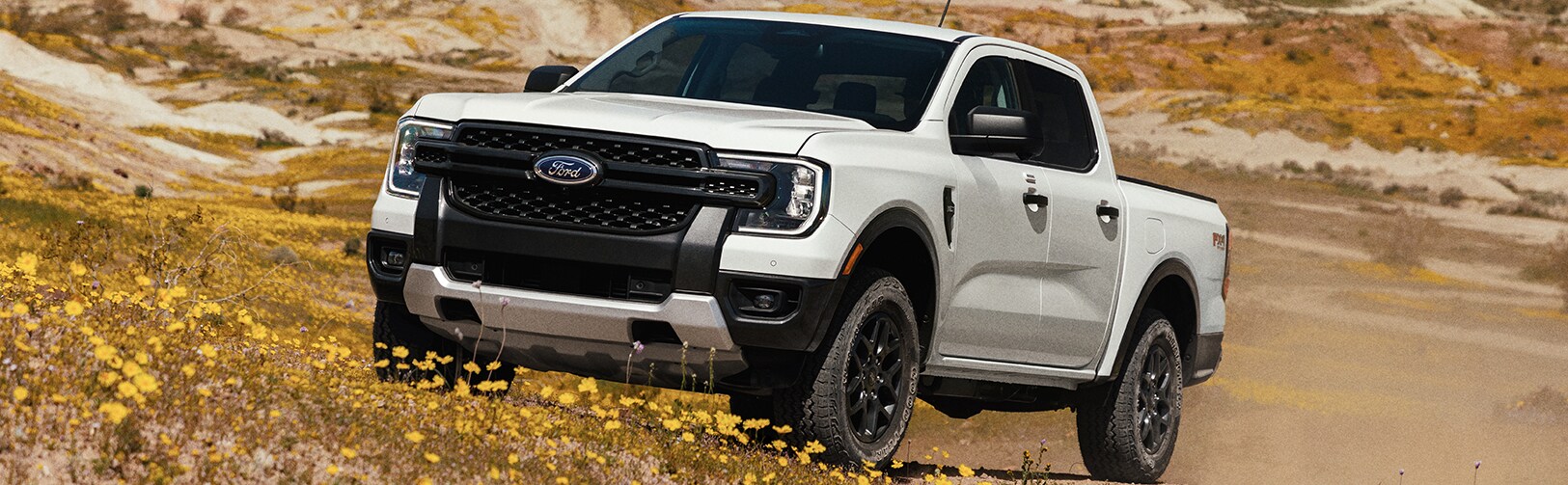 FRDNTRKX0640_Ford_RangerReveal_Bloom_03_RGB.jpg