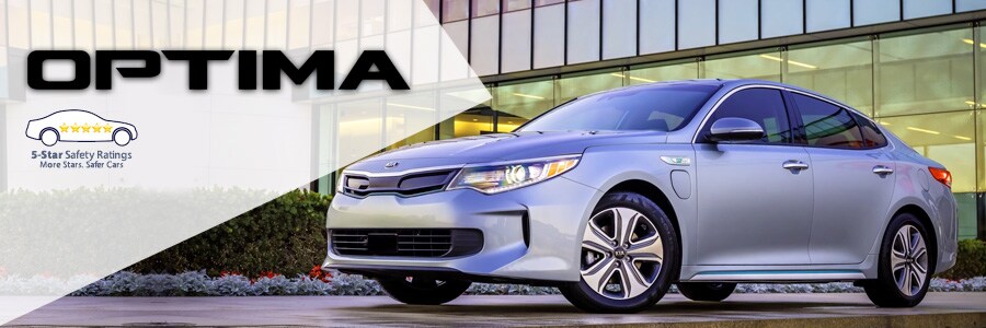 Optima-2017.jpg