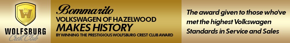 wolfsburg_award_winner.jpg