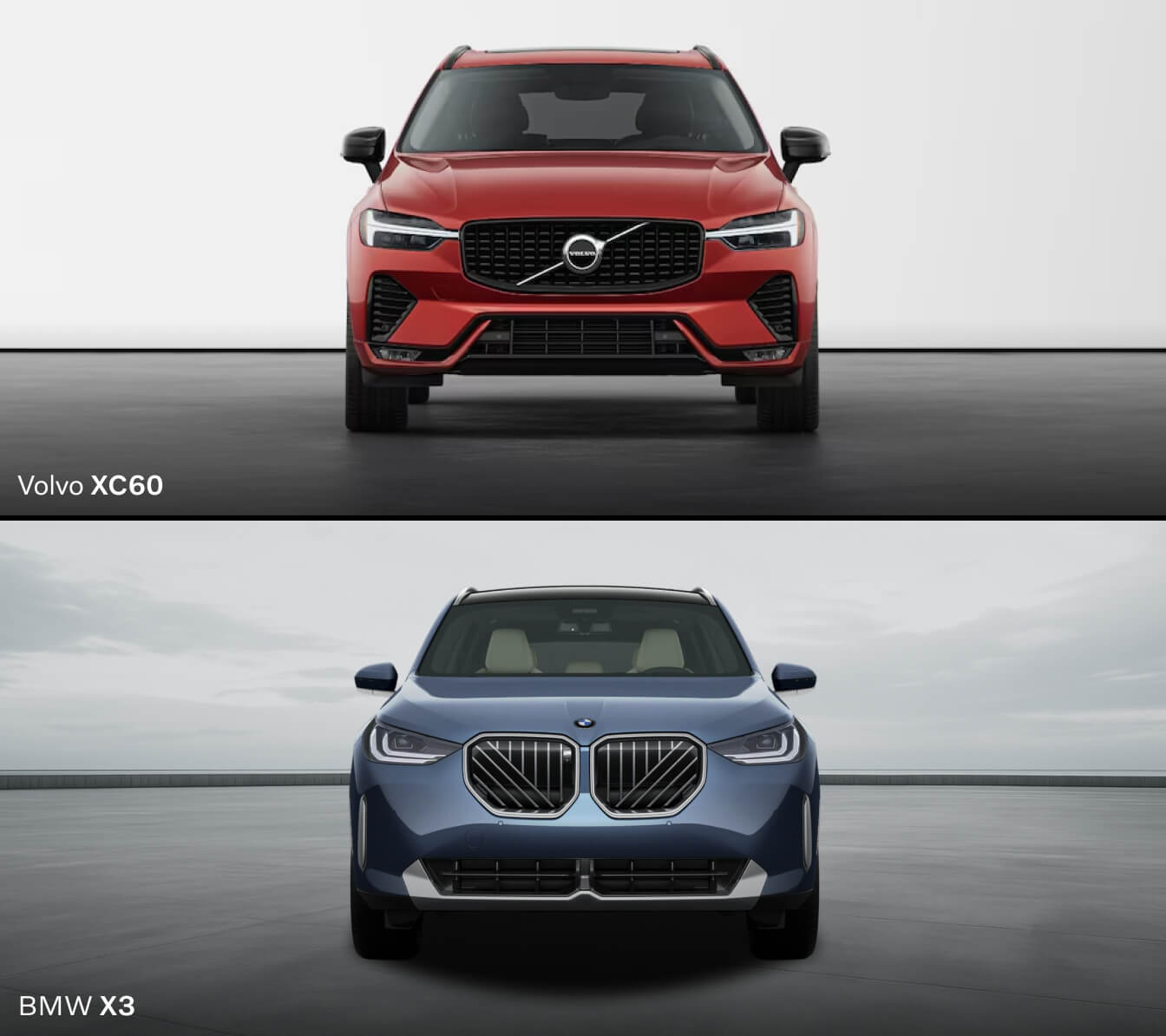 Design & Color Options