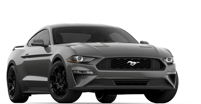 2019 Ford Mustang Eco Boost Fastback shown 2019 Ford Mustang Eco Boost Fastback shown