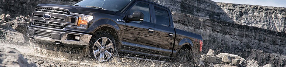 2019 Ford F150.jpg