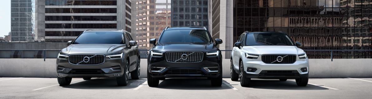 SUV Lineup front.JPG