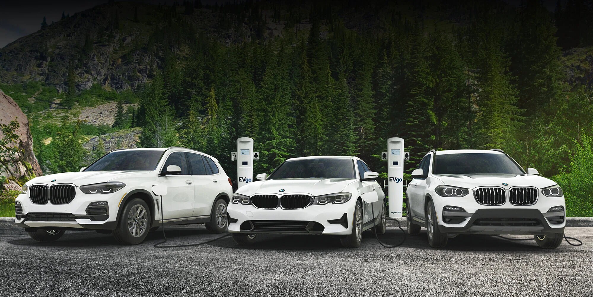 BMW Electric Lineup for Sale in Miami, Fl