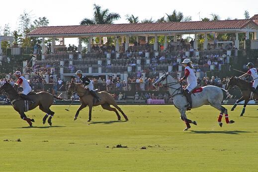 horses running.JPG