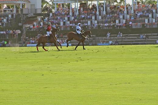 Polo field.JPG
