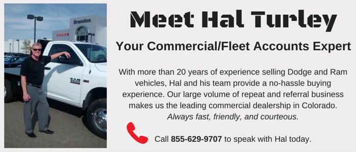 Meet Hal Turley