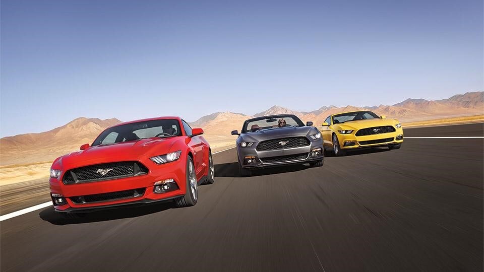 Ford muscle.jpg
