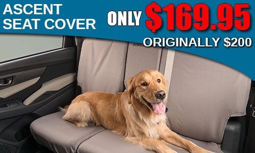 SEAT-COVER.jpg