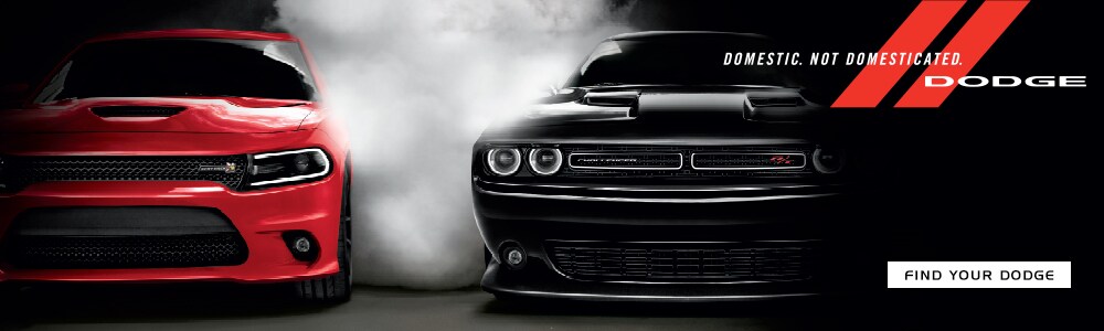 dodge-domestic.jpg