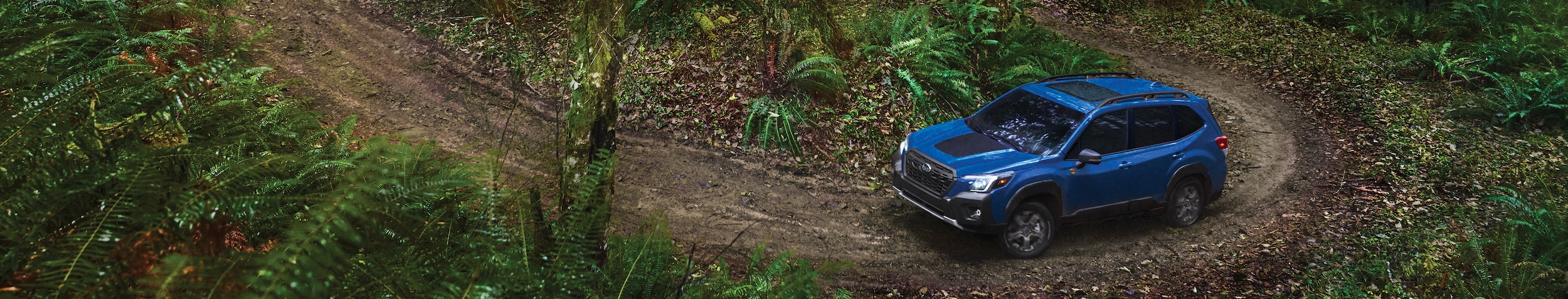 2022-Subaru-Forester-Wilderness-SUV-L12.png