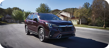 Bold Style Meets Premium Design