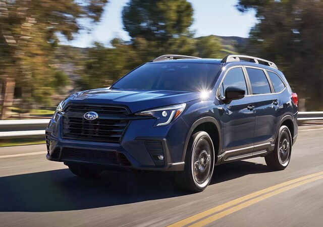 2025 ascent