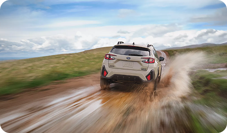 Capability and Efficiency