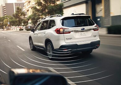 2025 ascent