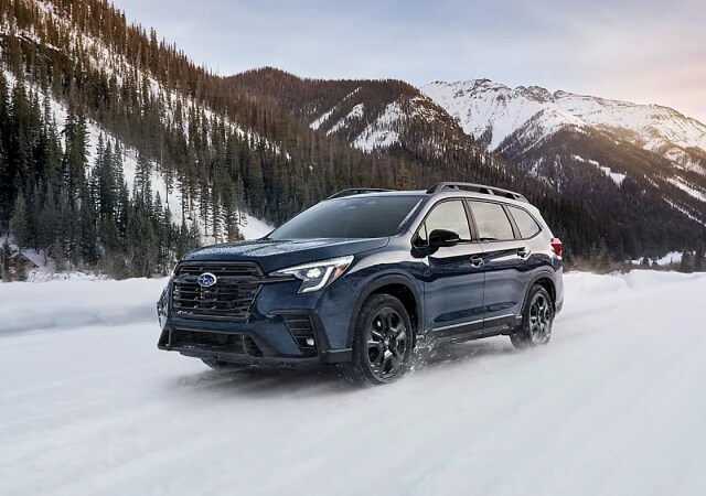 2025 ascent