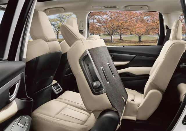 2025 ascent