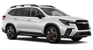 Limited Bronze Edition 7-Passenger