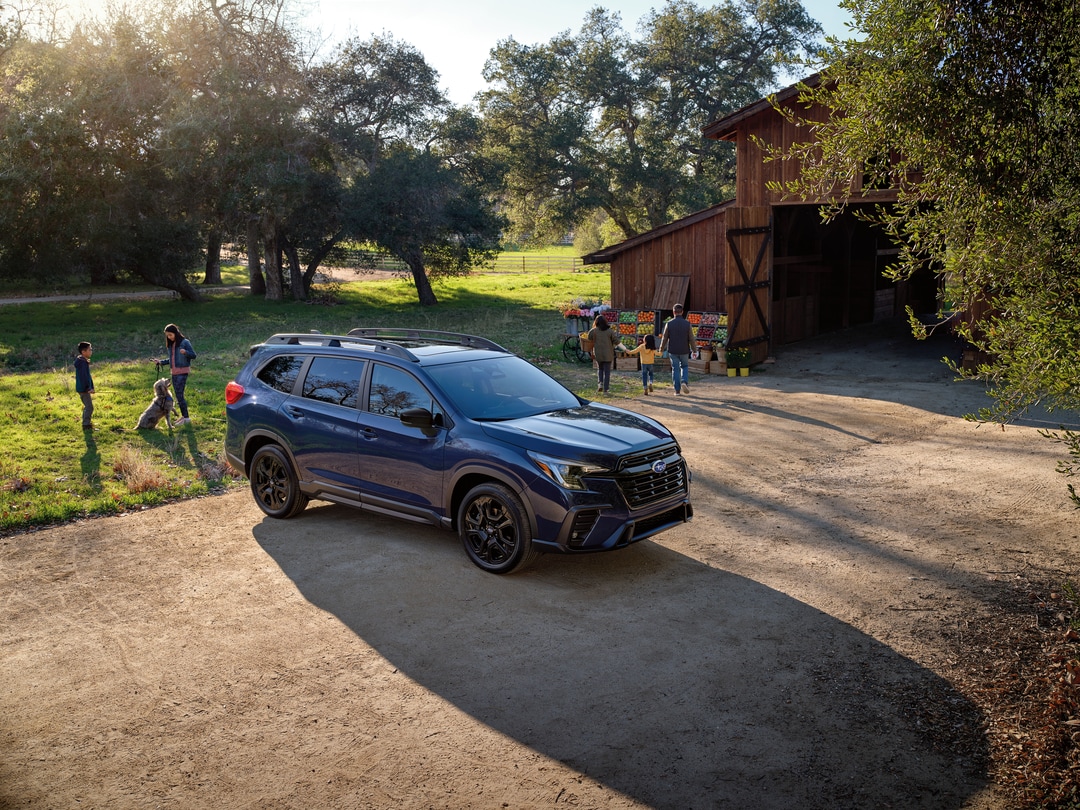 Certified Pre-Owned Subaru