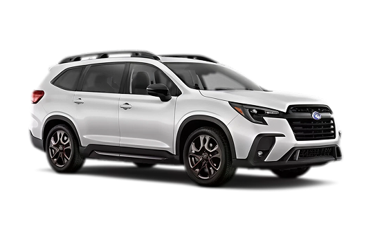 Limited Bronze Edition 7-Passenger