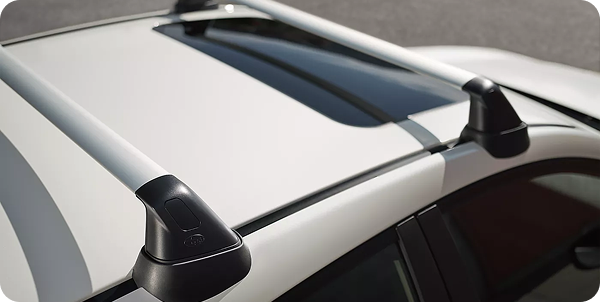 Standard Roof Crossbar Mounting Points