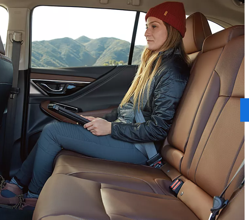 Passenger and Cargo Space