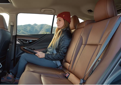 Passenger and Cargo Space