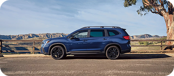 A Modern Shade of Style