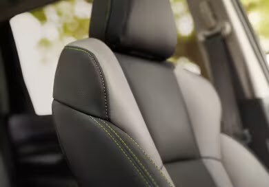 2025 ascent